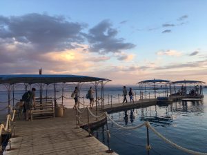mit Delfinen schwimmen, Erfahrungsbericht, spirituelle Reise Israel zu den Delfinen