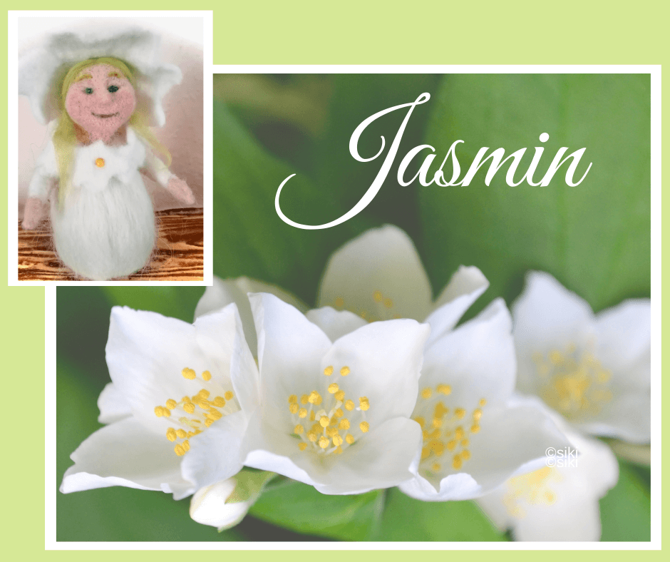 Jasmin, Einweihung, Spirit