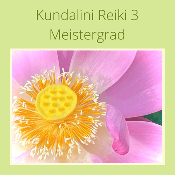 Kundalini Reiki 3 Meister, Online Kurs