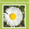 Gänseblümchen Seelenverbindung durch energetische Einweihung, Titelbild