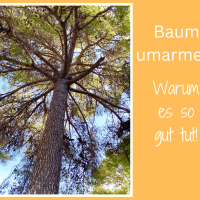 Baum umarmen: Warum es so gut tut