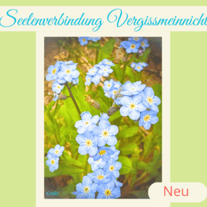 Pflanzenwesen, Einweihung, Vergissmeinnicht