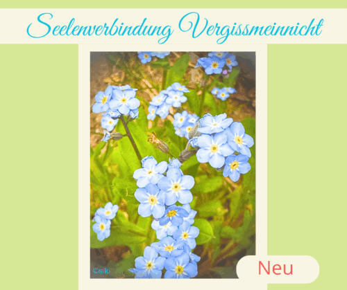Pflanzenwesen, Einweihung, Vergissmeinnicht