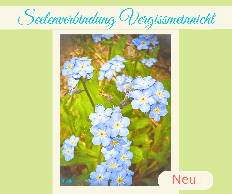 Pflanzenwesen, Einweihung, Vergissmeinnicht
