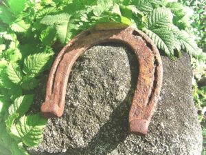 Der freie Wille als Basis für energetische Heilung