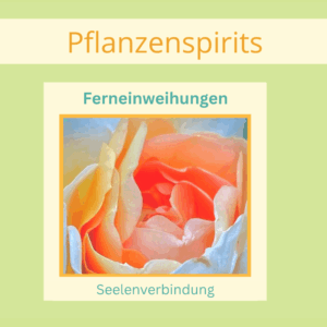 Ferneinweihungen in die feinstoffliche Kraft von Pflanzenwesen, Pflanzenkraft und Blütenfrequenzen von Silke Kitzmann.